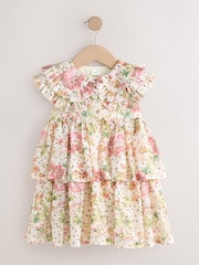 Floral Sleeveless Lace Collar Tiered Dress (3mths-7yrs) - Image 6 of 9