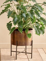 Nkuku Antique Brass Juoni Iron Planter - Image 1 of 2