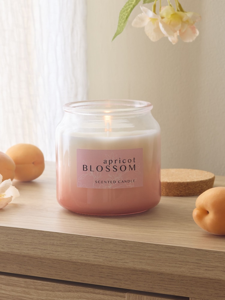 Apricot Blossom Mango & Mandarin Country Classics Jar Candle - Image 1 of 4 Apricot Blossom Mango & Mandarin Country Classics Jar Candle - Image 1 of 4