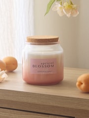Apricot Blossom Mango & Mandarin Country Classics Jar Candle - Image 2 of 4