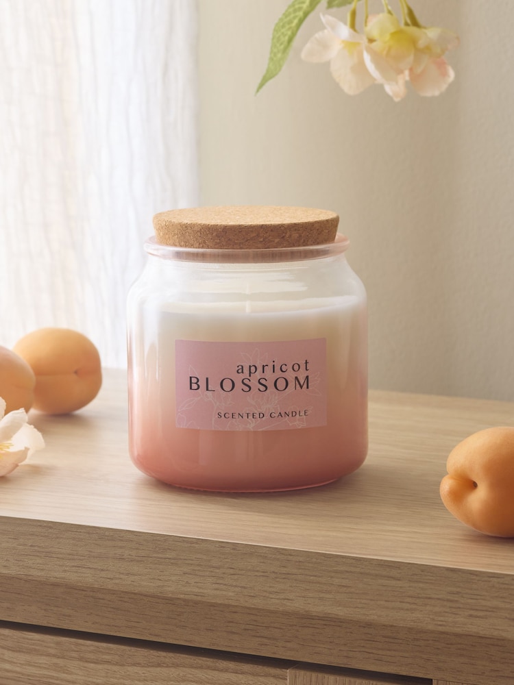 Apricot Blossom Mango & Mandarin Country Classics Jar Candle - Image 2 of 4 Apricot Blossom Mango & Mandarin Country Classics Jar Candle - Image 2 of 4