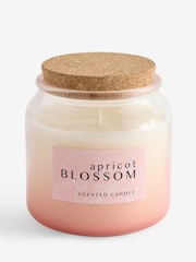 Apricot Blossom Mango & Mandarin Country Classics Jar Candle - Image 3 of 4