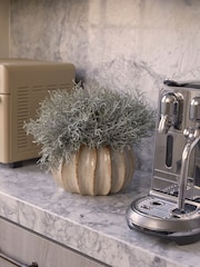 Sixty3 Styled Natural Lydia Vase with Foliage - Image 1 of 3