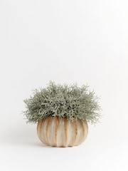 Sixty3 Styled Natural Lydia Vase with Foliage - Image 2 of 3