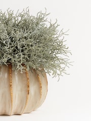 Sixty3 Styled Natural Lydia Vase with Foliage - Image 3 of 3