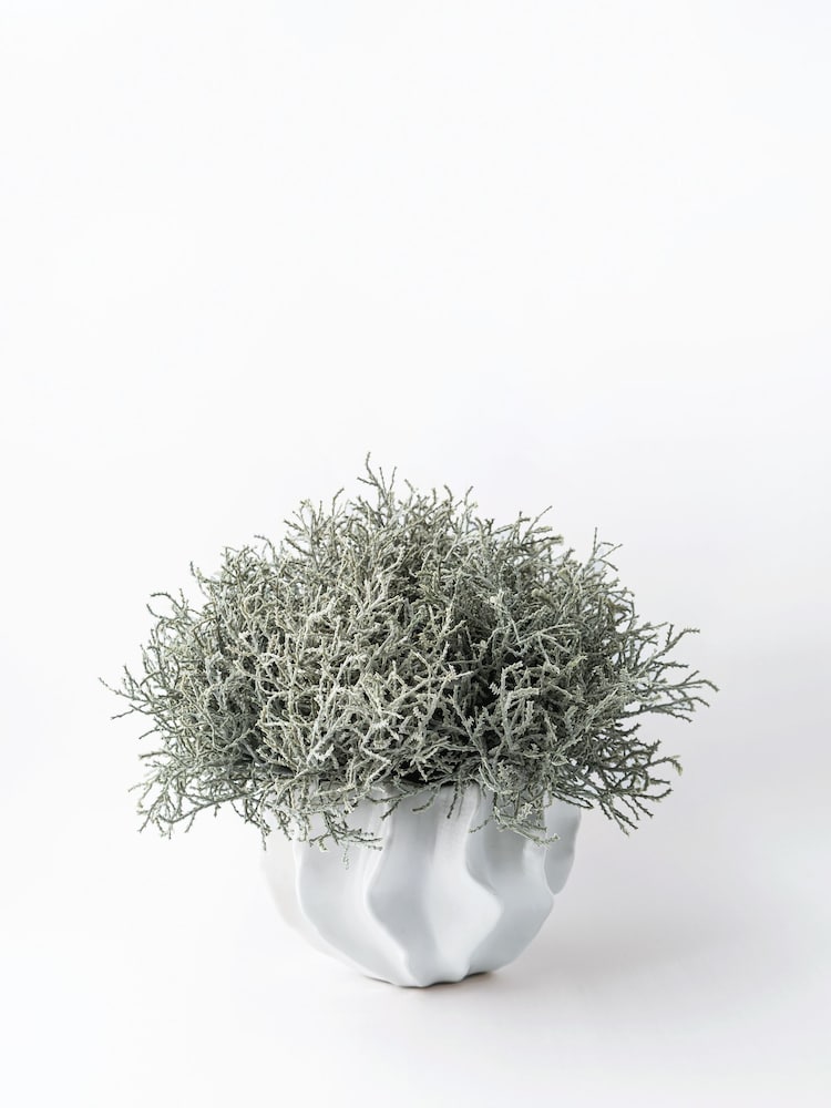 Sixty3 Styled White Harmony Vase with Foliage - Image 1 of 2