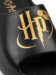 Chinelos Vanilla Underground Harry Potter - Imagem 6 de 6