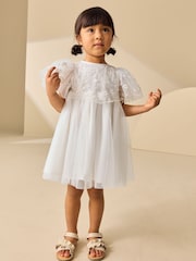 White Embroidered Mesh Ocassion Dress (3mths-8yrs) - Image 1 of 7