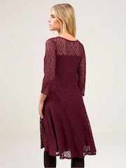 M&Co Purple Petite Lace 3/4 Sleeve Skater Dress - Image 3 of 5