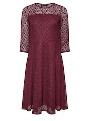 M&Co Purple Petite Lace 3/4 Sleeve Skater Dress - Image 5 of 5