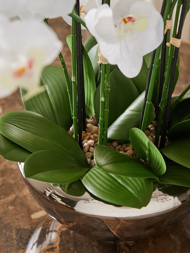 White Artificial Orchid In Bowl - Image 3 of 3 White Artificial Orchid In Bowl - Image 3 of 3
