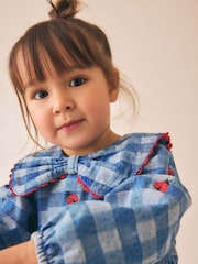 Blue Denim Check - Long Sleeve Collar Embroidered Ladybird Dress (3mths-8yrs) - Imagen 4 de 8