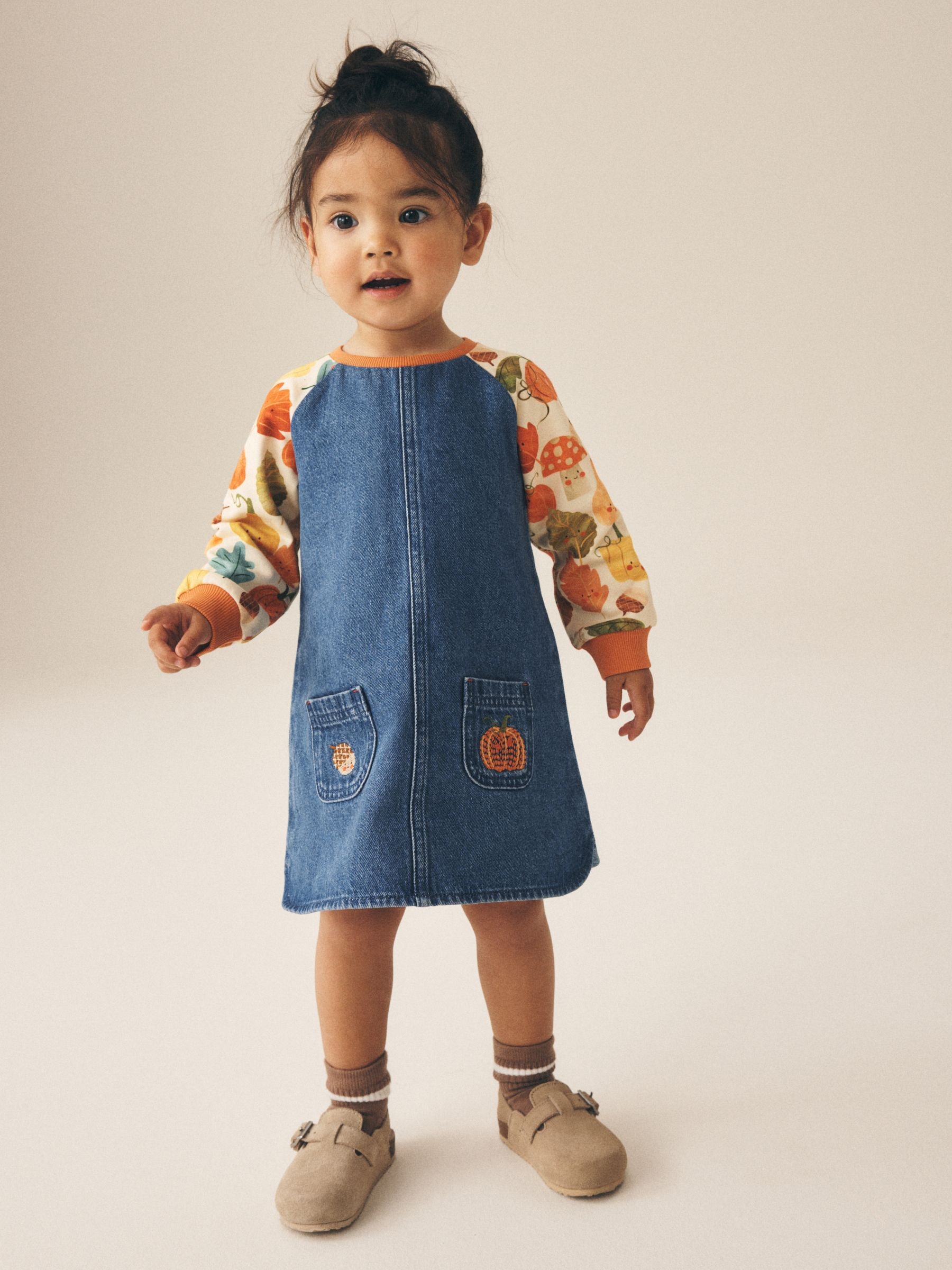 Buy Pumpkin Print Raglan Denim Dress (3mths-8yrs) from Next USA
