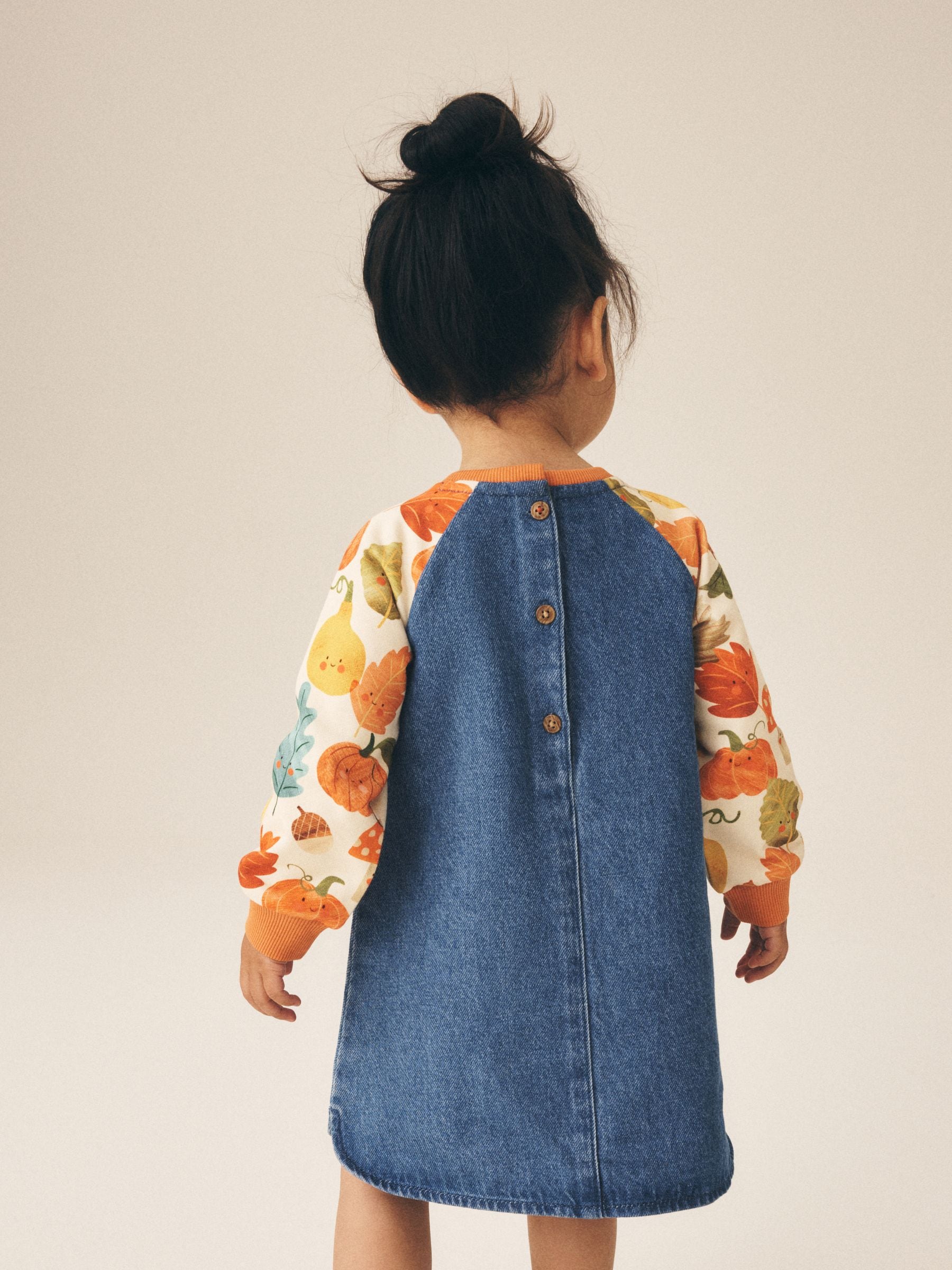Buy Pumpkin Print Raglan Denim Dress (3mths-8yrs) from Next USA