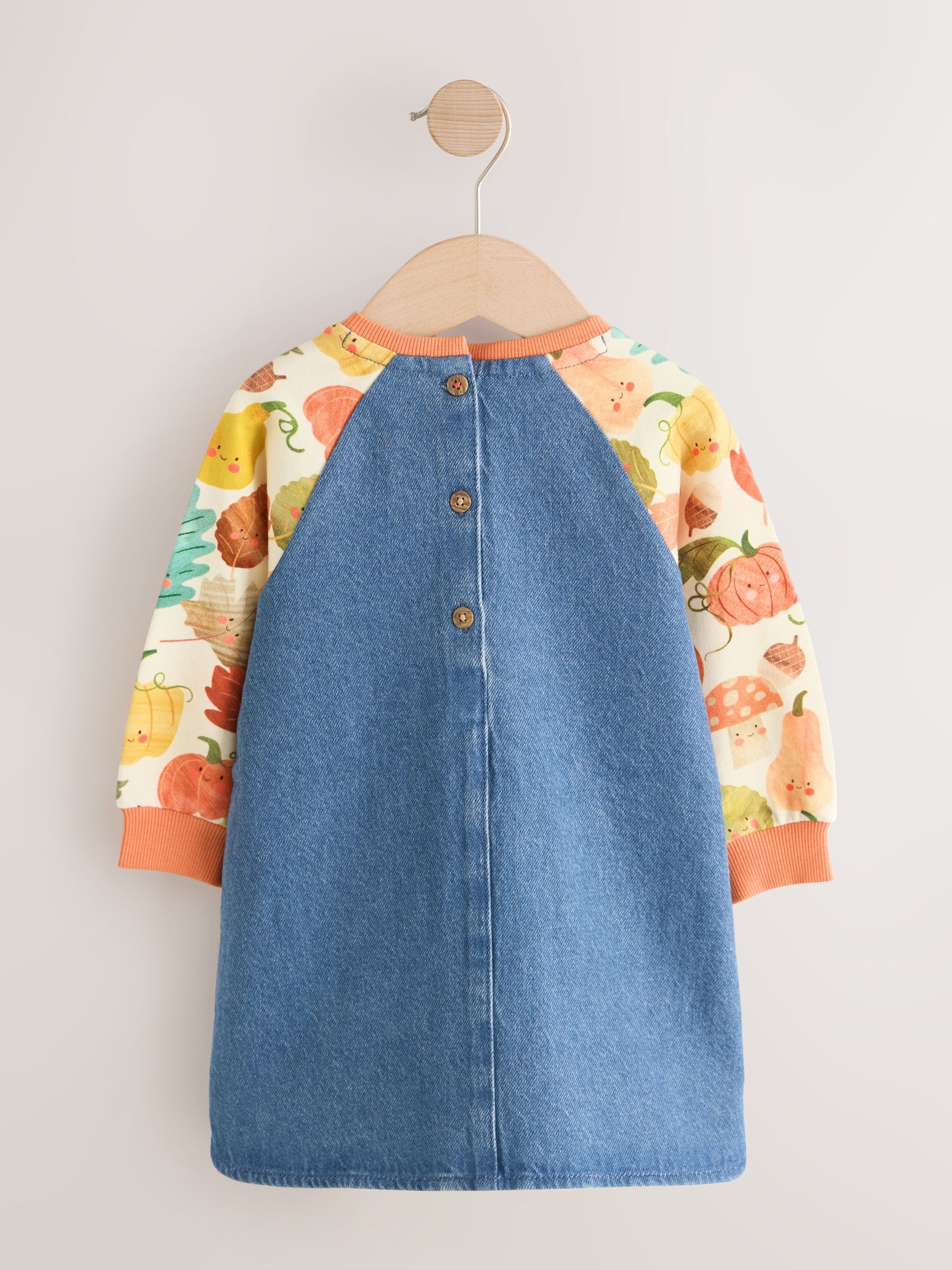 Buy Pumpkin Print Raglan Denim Dress (3mths-8yrs) from Next USA