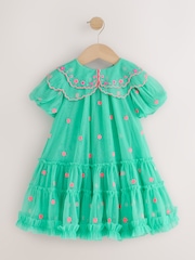Teal Blue Mesh Embroidered Occasion Dress (3mths-8yrs) - Image 5 of 9