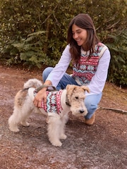 Red Blue Multi Fairisle Pattern Knitted Dog Jumper - Image 1 of 8