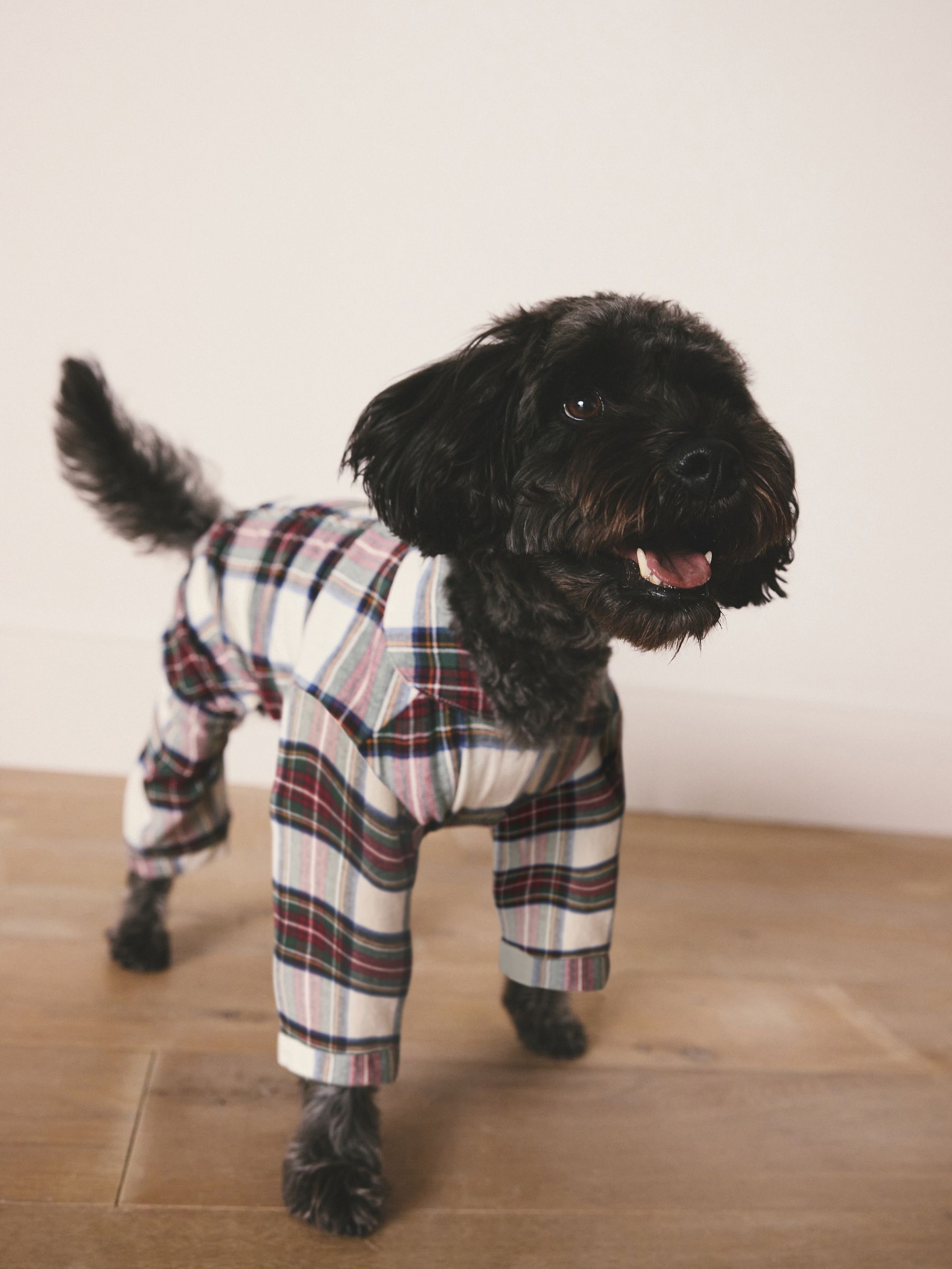Buy Red/White Check Matching Family Christmas Pet Pyjamas from the Next ...