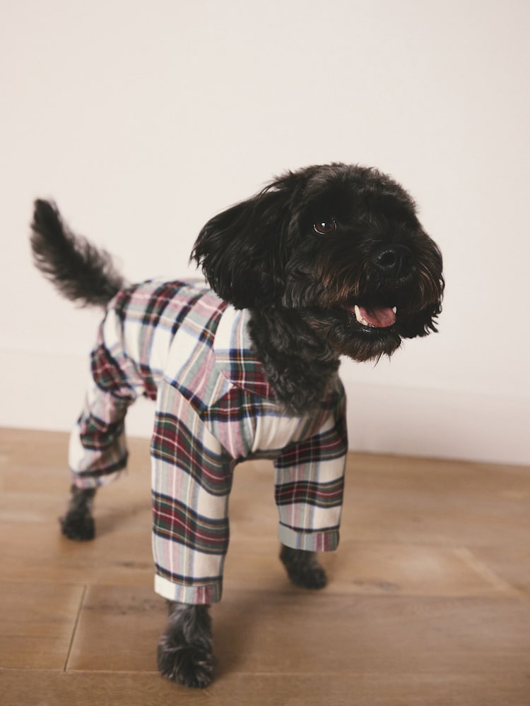 Buy Red/White Check Matching Family Christmas Pet Pyjamas from Next ...