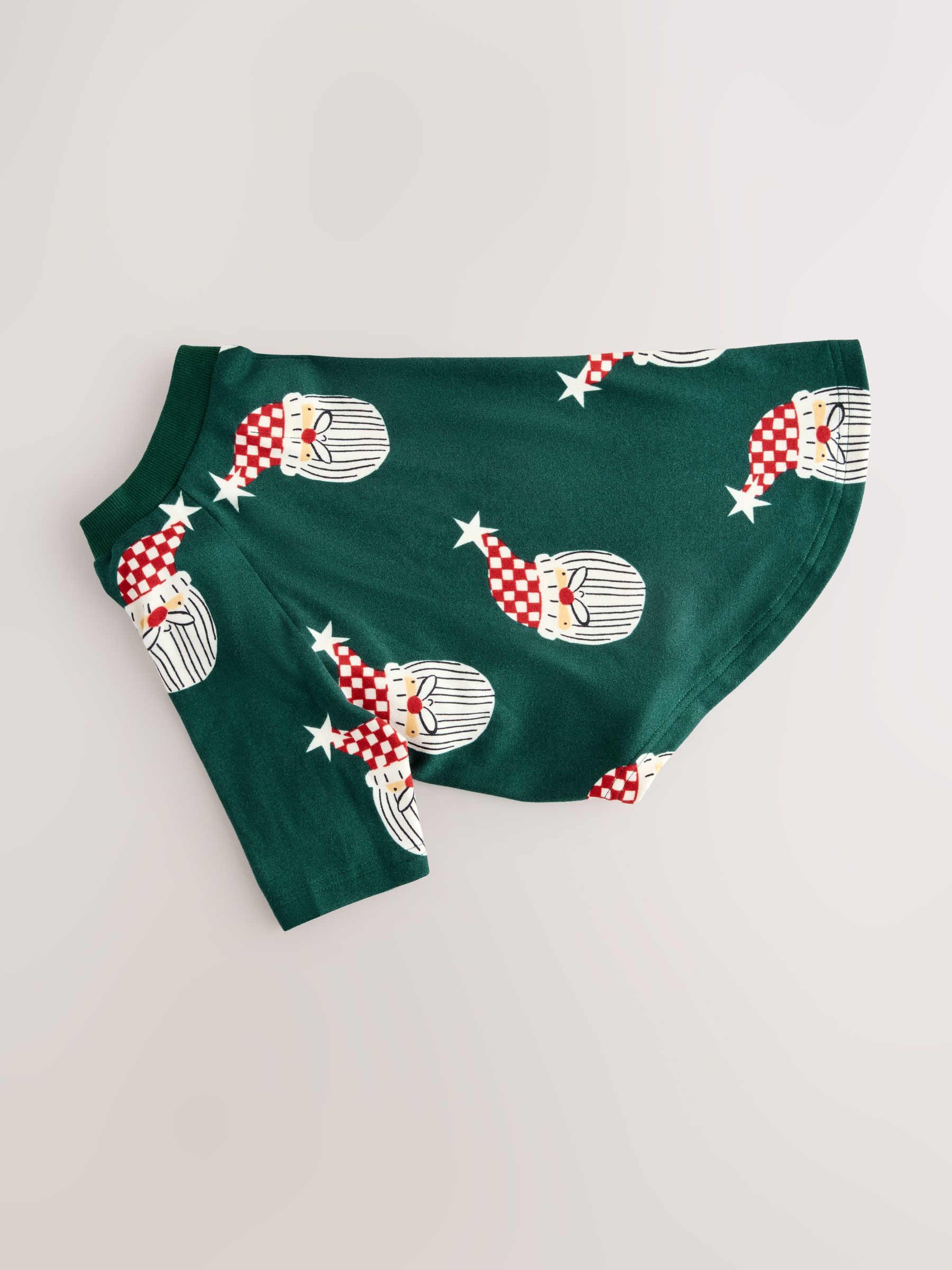 Buy Green Santa Matching Family Christmas pet Pyjamas from the Next UK ...