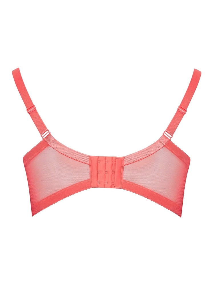 Yours Curve Swirl Lace Underwired Bras 2 Pack - Imagen 9 de 9 Yours Curve Swirl Lace Underwired Bras 2 Pack - Imagen 9 de 9