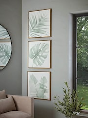 Cox & Cox Set of 3 White Green Framed Leaf Print Wall Art - Image 1 of 3