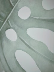 Cox & Cox Set of 3 White Green Framed Leaf Print Wall Art - Image 2 of 3