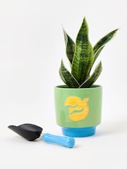 Oliver Bonas Green Bird Plant Pot And Trowel Gardening Gift Set - Image 2 of 6