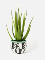 Oliver Bonas Black Pineapple Chequerboard Outdoor Plant Pot - Image 1 of 5