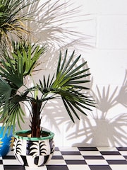 Oliver Bonas Black Pineapple Chequerboard Outdoor Plant Pot - Image 2 of 5