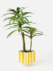 Oliver Bonas Yellow Joya Scalloped Stripe Medium Plant Pot - Image 2 of 6