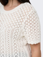 ONLY Curve Cream Crochet Knit T-Shirt - Image 5 of 7