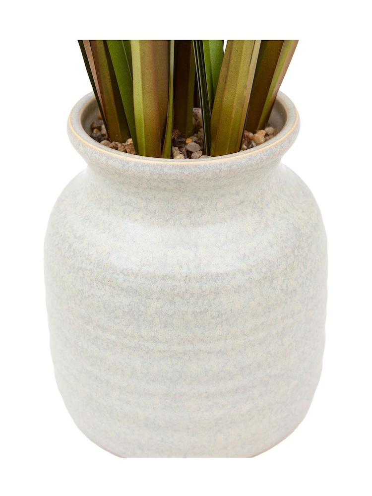 Gallery Home White Faux Potted Grass with Feathered Wildflower - Image 6 of 6