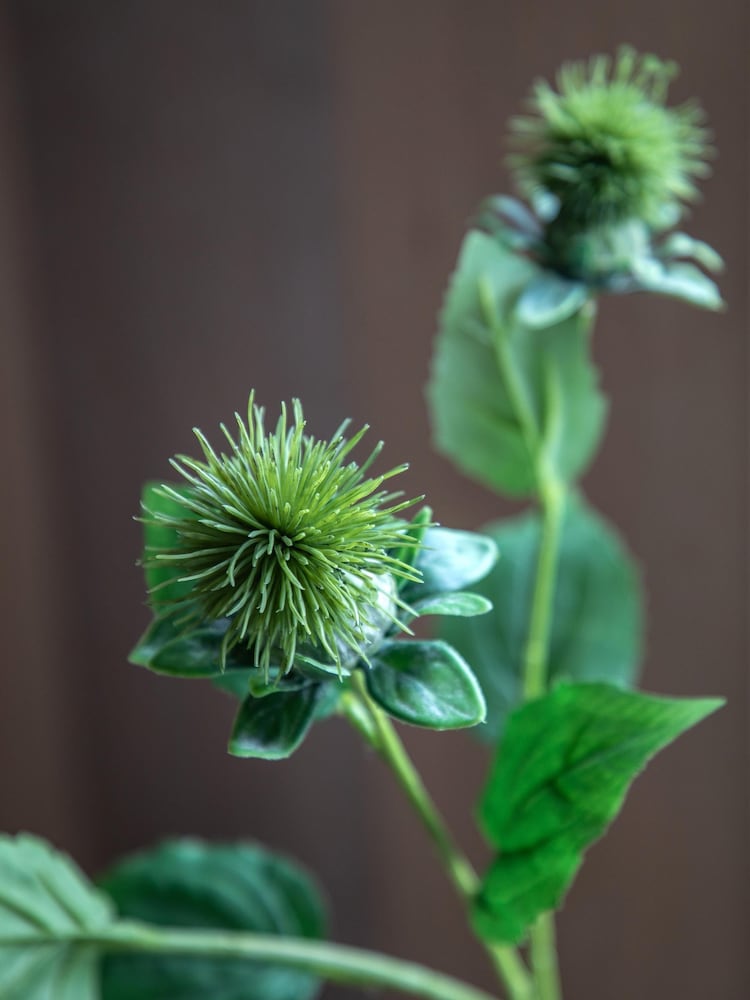 Gallery Home 12 Pack Green Faux Thistle Stems - Image 2 of 5 Gallery Home 12 Pack Green Faux Thistle Stems - Image 2 of 5