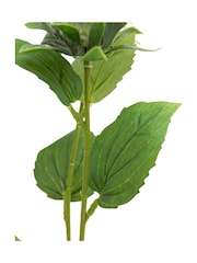 Gallery Home 12 Pack Green Faux Thistle Stems - Image 4 of 5