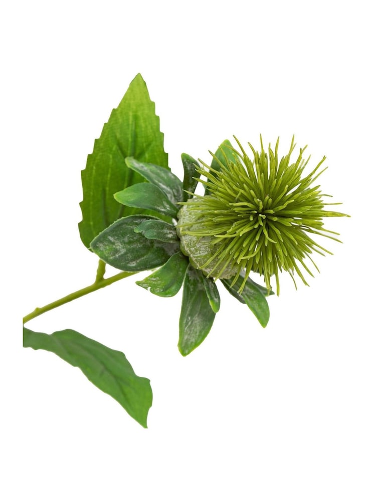 Gallery Home 12 Pack Green Faux Thistle Stems - Image 5 of 5 Gallery Home 12 Pack Green Faux Thistle Stems - Image 5 of 5