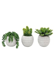 Gallery Home Set of 3 Natural Faux Small Succulents in Ceramic pots - Image 3 of 5