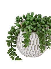Gallery Home Set of 3 Natural Faux Small Succulents in Ceramic pots - Image 4 of 5