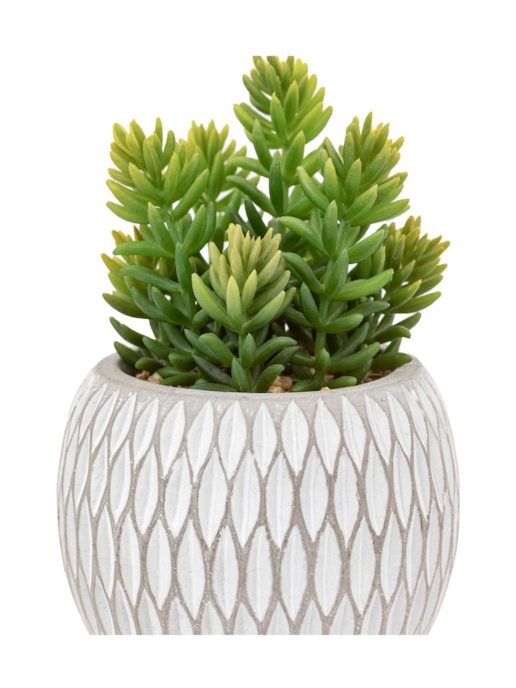 Gallery Home Set of 3 Natural Faux Small Succulents in Ceramic pots - Image 5 of 5