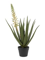 Gallery Home White Faux Aloe Potted Plant with Flower - Image 1 of 3