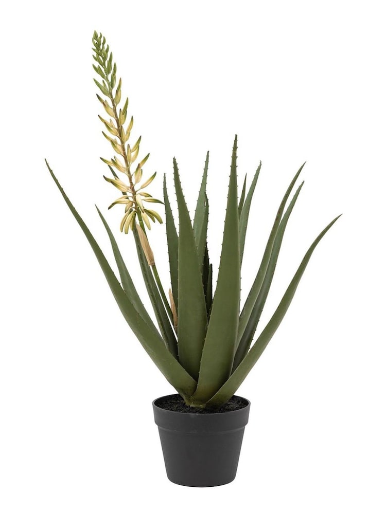 Gallery Home White Faux Aloe Potted Plant with Flower - Image 1 of 3