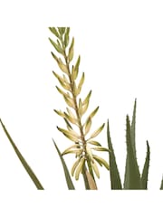 Gallery Home White Faux Aloe Potted Plant with Flower - Image 2 of 3
