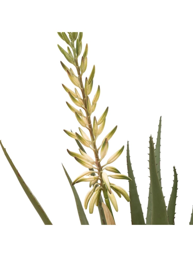 Gallery Home White Faux Aloe Potted Plant with Flower - Image 2 of 3