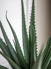 Gallery Home Natural Faux Aloe Vera in Ceramic Pot - Image 2 of 5
