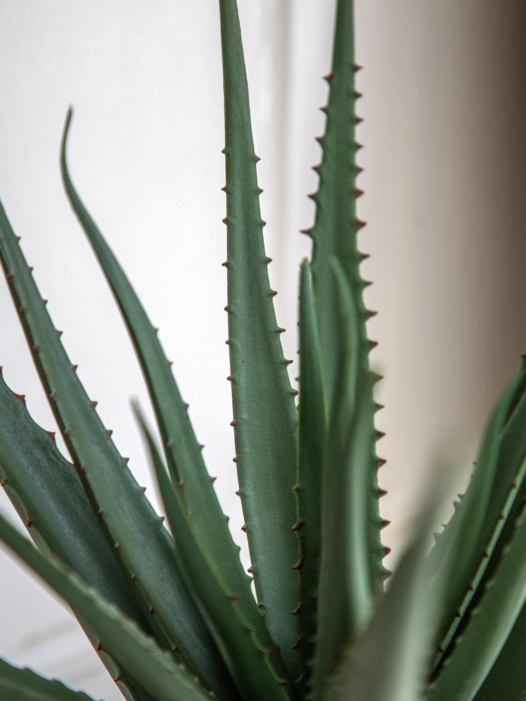 Gallery Home Natural Faux Aloe Vera in Ceramic Pot - Image 2 of 5