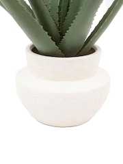 Gallery Home Natural Faux Aloe Vera in Ceramic Pot - Image 4 of 5