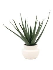 Gallery Home Natural Faux Aloe Vera in Ceramic Pot - Image 5 of 5