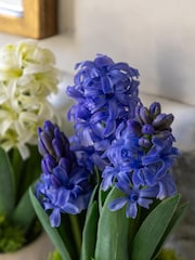 Gallery Home Set of 2 Purple Faux Spring Hydrangea in Ceramic Pots - Image 3 of 6