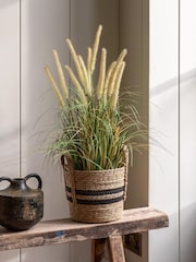 Gallery Home 5 Pack White Faux Potted Grass with Cattail Seed Small Heads - Image 1 of 5