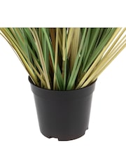 Gallery Home 5 Pack White Faux Potted Grass with Cattail Seed Small Heads - Image 4 of 5